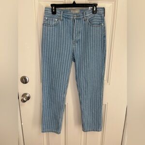 Everlane The 90’s Cheeky Button Fly Ankle Pinstripe Women 28 Crop Jean